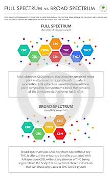 Full Spectrum vs Broad Spectrum vertical business infographic photo