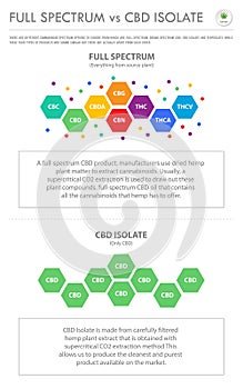 Full Spectrum vs CBD Isolate vertical business infographic