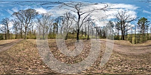Full spherical hdri panorama 360 degrees angle view on gravel pedestrian footpath and bicycle lane path in pinery forest near huge
