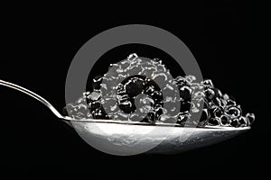 Full spoon of black caviar