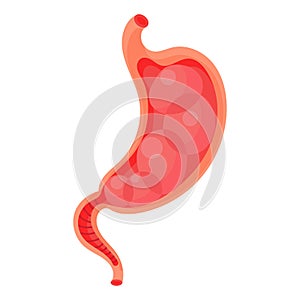 Full stomach. Heaviness of stomach, bloating, pain in the alimentary tract and acid heartburn. Duodenal problems and human organ