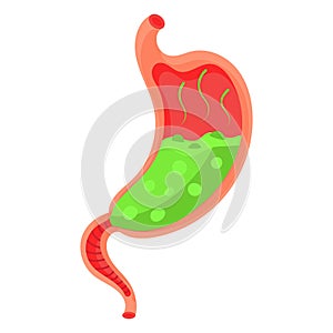 Full stomach. Heaviness of stomach, bloating, pain in the alimentary tract and acid heartburn. Duodenal problems and human organ