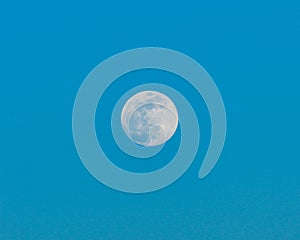 A full super moon in a clear blue sky.