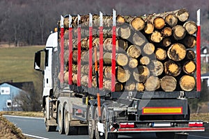 Full timber haulage truck on the road photo