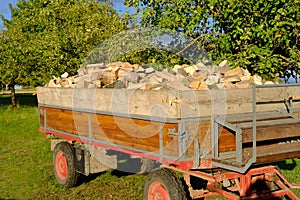 Full tractor trailer of firewood chopped on logs, logging for winter, concept stoking stove, fireplace, seasonal cooling in