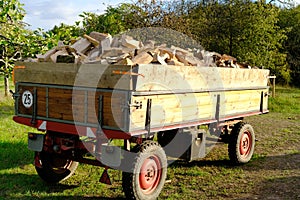 Full tractor trailer of firewood chopped on logs, logging for winter, concept stoking stove, fireplace, seasonal cooling in