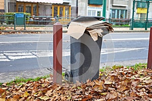 A full trash can sits neatly on the leaves