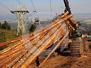 Full-tree harvesting