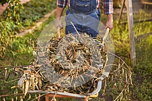 Full trolley of dry weeds for making compost