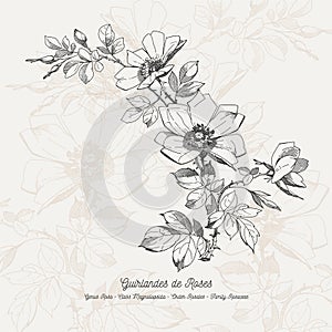 Full vector flower illustration