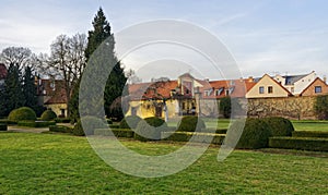 Full view of the trimmed plants in the path