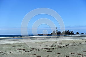 A full wide view of the beautiful Chesterman Beach at low tide outside Tofino, British Columbia, Canada.