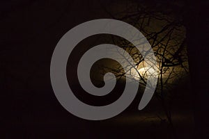 Full wolf moon clear sky