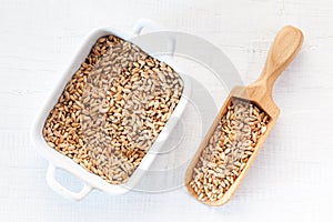 Full wooden scoop of Wheat Seeds on white wooden background