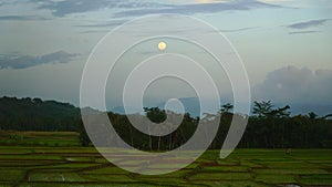 Fullmoon, jungle, and paddyfields, at banyumas, centraljava