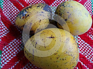 Fully graped mangoes having yellow nice coloured.