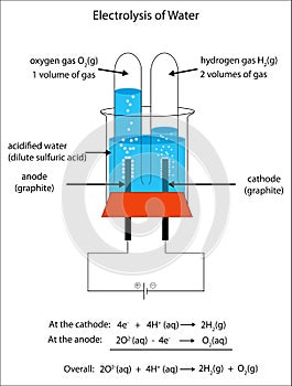 Fully labeled diagram of the electrolysis of water