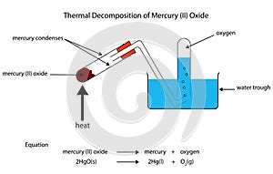 Fully labelled illustration of thermal decomposition of mercury