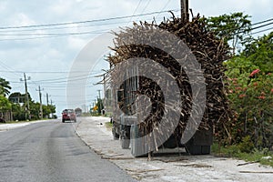 Fully loaded Sugarcane Truck on road in Orange Walk, Belize