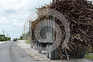 Fully loaded Sugarcane Truck on road in Orange Walk, Belize