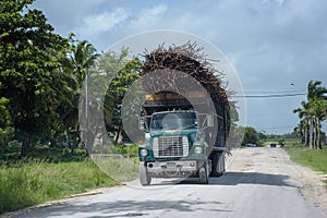 Fully loaded Sugarcane Truck on road in Orange Walk, Belize