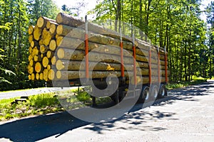 Fully loaded truck trailer with wooden pallets without truck in a parking lot