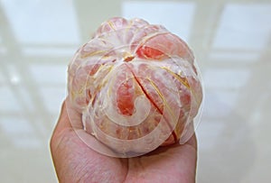 A fully peeled pomelo on a human hand palm