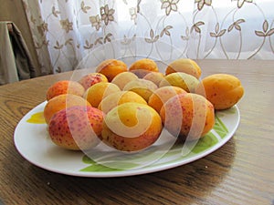 Fully ripened Apricots