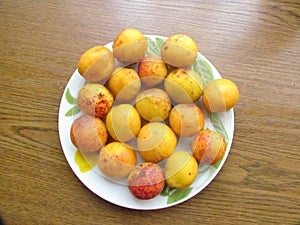 Fully ripened Apricots