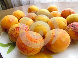 Fully ripened Apricots