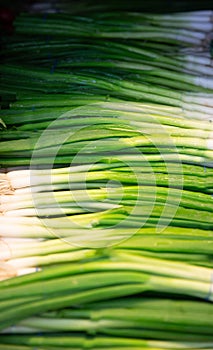 Fully stocked green onions in a grocery store