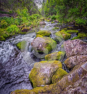 FulufjÃ¤llet National Park, national park in Sweden, located in the commune of Ã„lvdalen, in the Dalarna region