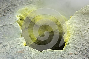 Fumarole activity in crater of Mutnovsky volcano.