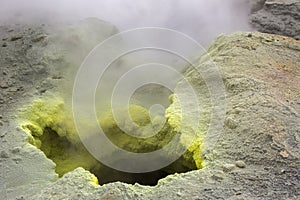 Fumarole activity in crater of Mutnovsky volcano.