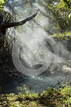 Fumarole at Rincon de la Vieja Volcano, Costa Rica.