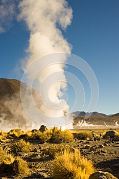 Fumaroles at El Tatio Geysers at an altitude of 4300m in the Atacama desert