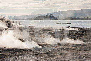 Fumaroles at lake Rotorua