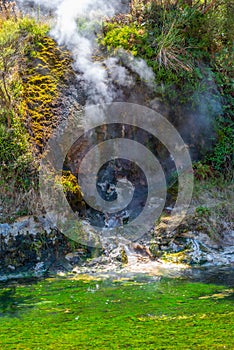 Fumaroles at Waimangu volcanic valley in New Zealand