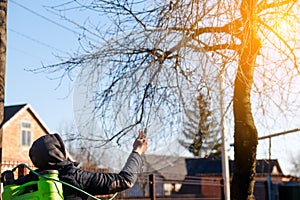 Fumigating pesti, pest control. Defocus farmer man spraying tree with manual pesticide sprayer against insects in spring