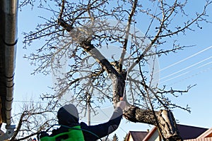 Fumigating pesti, pest control. Defocus farmer man spraying tree with manual pesticide sprayer against insects in spring