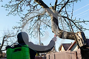 Fumigating pesti, pest control. Defocus farmer man spraying tree with manual pesticide sprayer against insects in spring