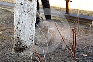 Fumigating pesti, pest control. Farmer man spraying tree with manual pesticide sprayer against insects in spring garden