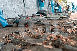 Fumigation brigade against the aedes aegypti mosquito, transmitter of diseases such as dengue, chikungunya and zika, in