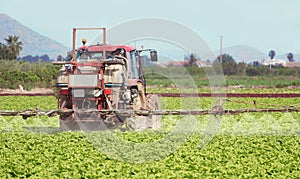 Fumigation of tractor in lettuce field. Spraying insecticide, insecticides, pesticides in agricultural countryside. Pesticides and