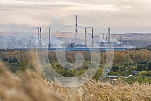Fuming chimneys of a factory, in the foreground of farm charcoal with mature iconic ones. Autumn panorama.