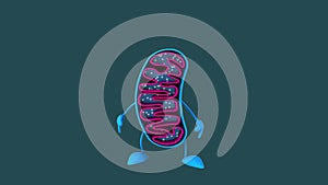 Fun 3D cartoon mitochondria