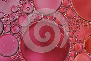 Bubbles in pink Magenta Macro Abstract artistic background