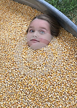 Fun In The Corn photo