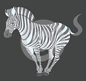 Fun cute cartoon zebra