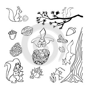 Fun doodle set with squirrels.